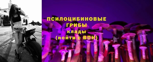 2c-b Алексин