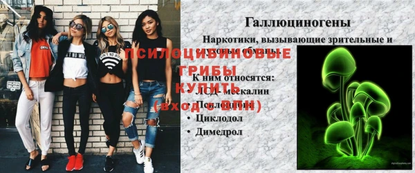 сатива Алексеевка