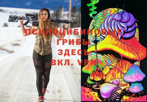 2c-b Алексин