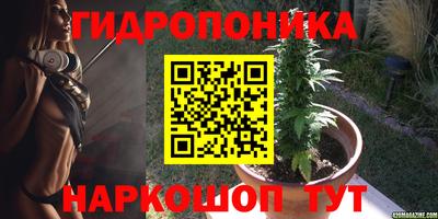 mdpv Владивосток