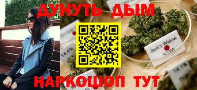 mdpv Владивосток