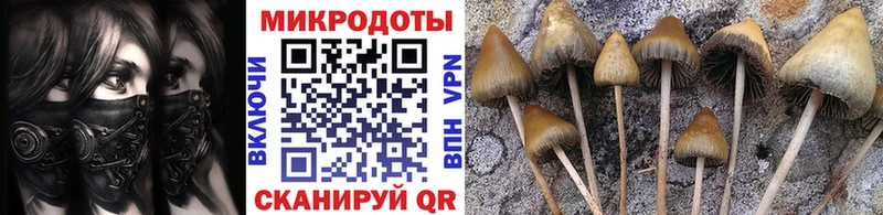 Псилоцибиновые грибы мицелий OMG ТОР Асино