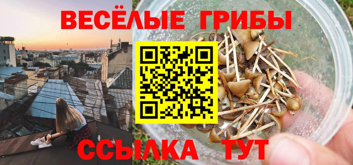 Галлюциногенные грибы Magic Shrooms  Псилоцибиновые грибы MAGIC MUSHROOMS  Асино  Вход с VPN 