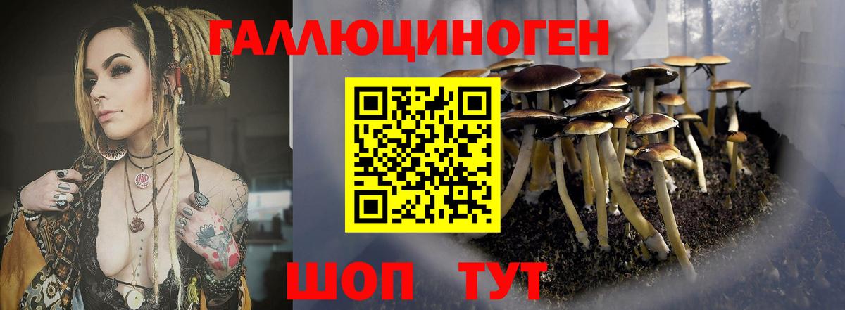 Псилоцибиновые грибы прущие грибы Асино
